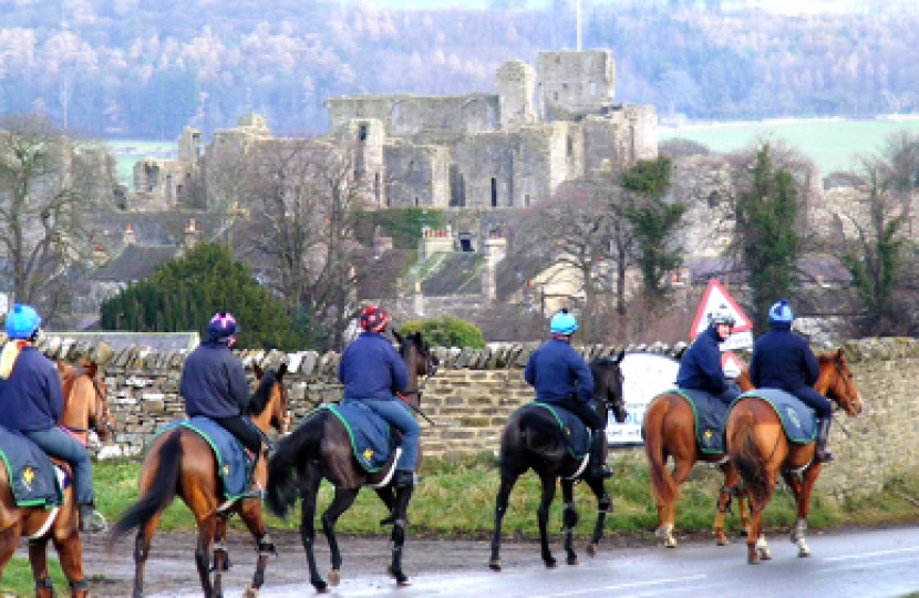 racehorses at Middleham