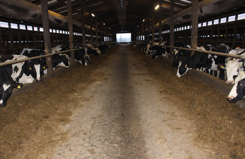 Rishi Sunak at Lowfields Farm, Brompton