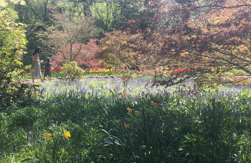 Constable Burton tulips