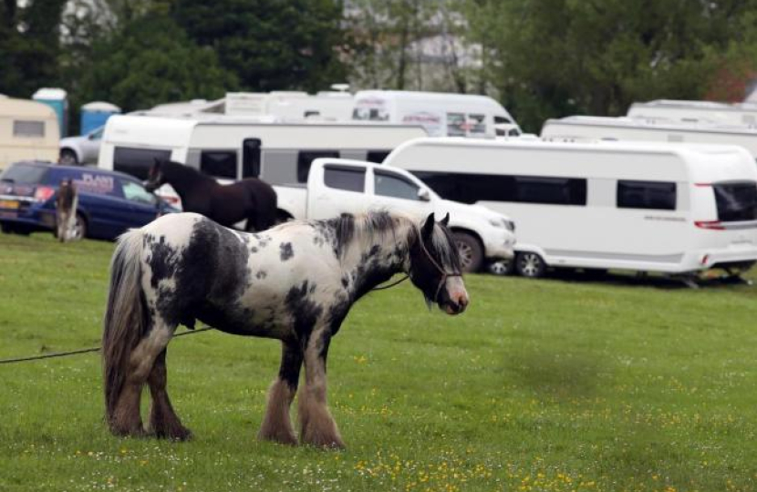 Traveller sites