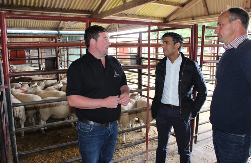 Rishi Sunak at Leyburn Auction Mart