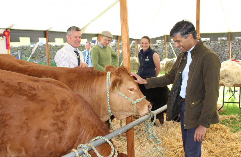 Rishi Sunak at Reeth Show