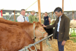 Rishi Sunak at Reeth Show